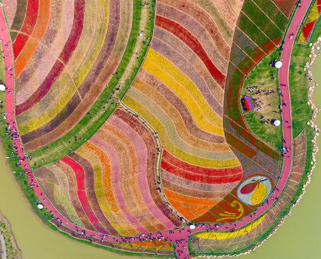 怎么样算是合格的摄影构图?从画面元素是否达到均衡评判起