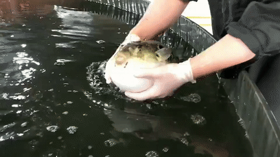 一时之间,到处都能看到