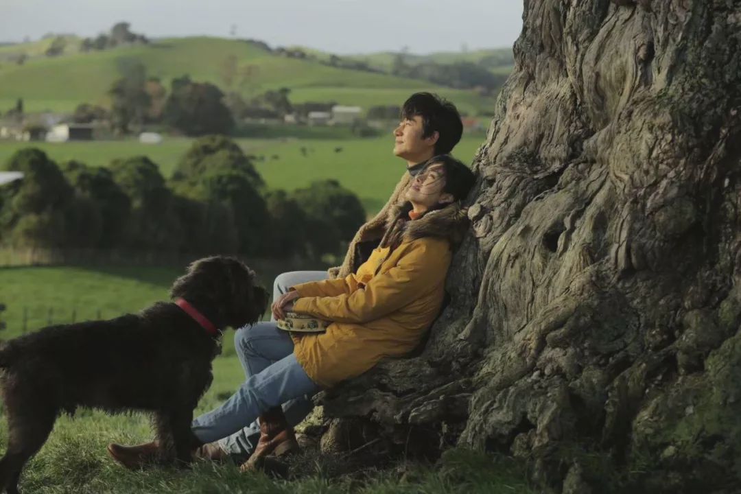 「电影通缉令」冯小刚，他带着一份令人落泪的美好，重回贺岁档
