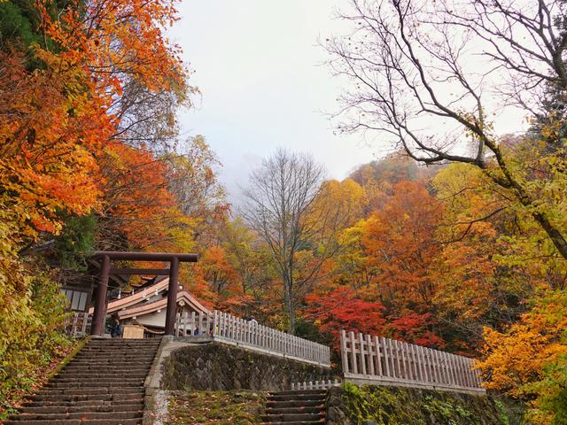 它在地图上形如中国龙,却是日本小众秘境,有着不输京都的古韵美景
