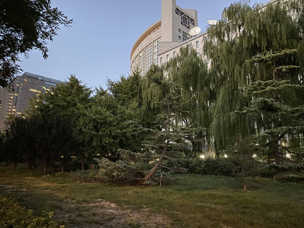 [虎嗅APP]iPhone 11 系列一周体验：苹果还没丢掉创造力