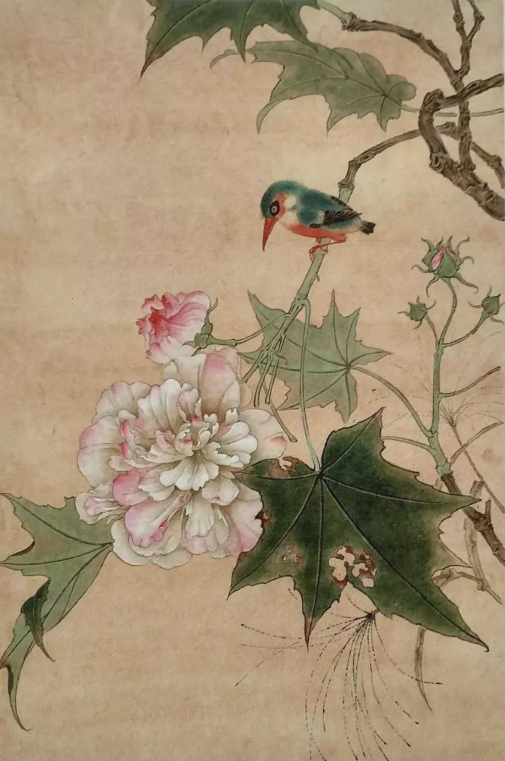 工笔国画教程:芙蓉翠鸟