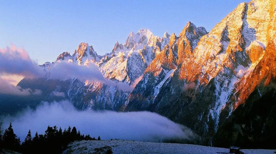 [新氧App]学她者生，似她者死，这个省的美人学都学不来