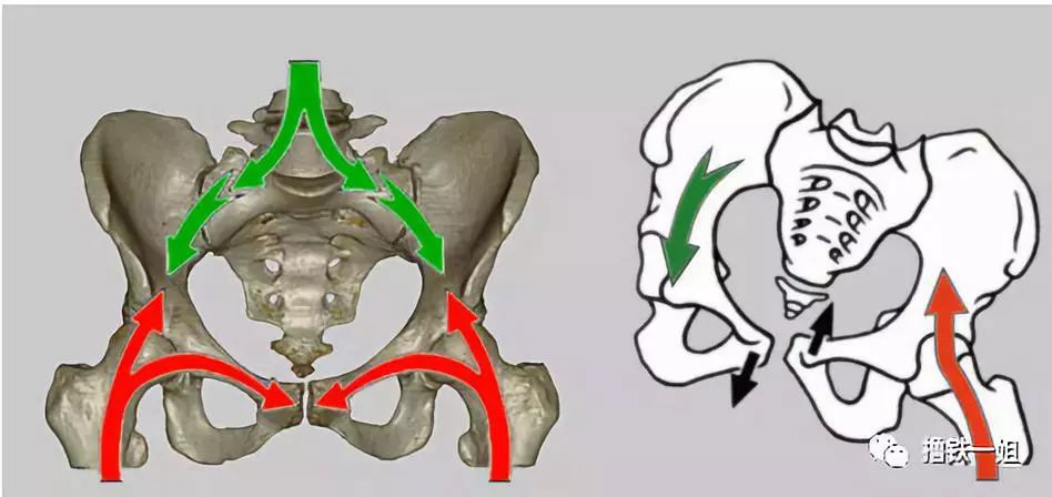 [新氧App]张天爱紧身西服泳装上热搜，但这骨盆前倾隔着屏幕都觉得疼！