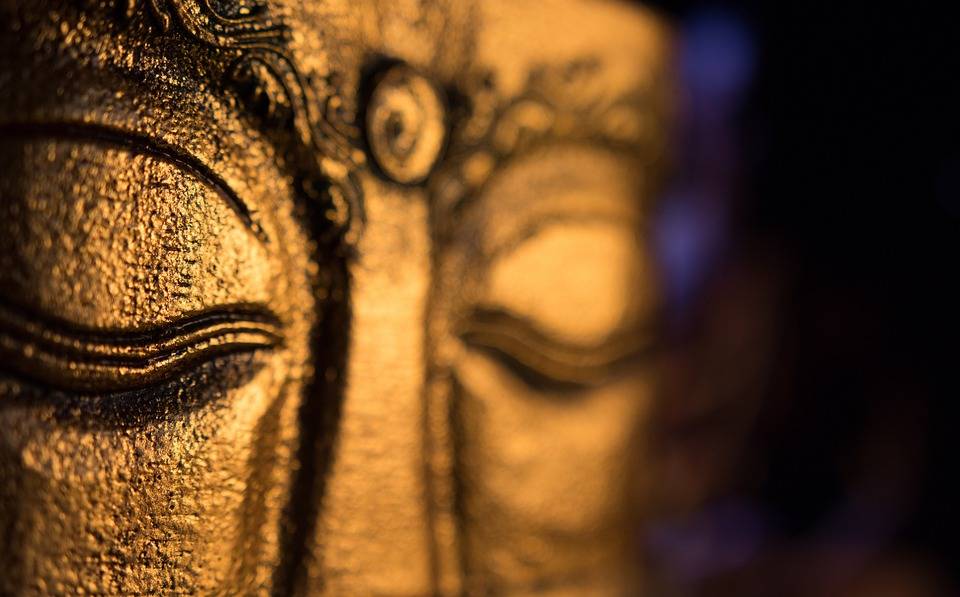 1177f5844ebe4395b1e1a73ddd29a159.jpg 1177f5844ebe4395b1e1a73ddd29a159.jpg