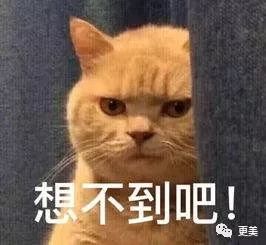 「更美扒扒扒」打着恋爱名义的“狼人杀”游戏，为真爱舍弃5000万，值吗？