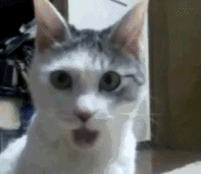 微信转账2500元后 下面就听小编讲讲这事儿的经过吧 