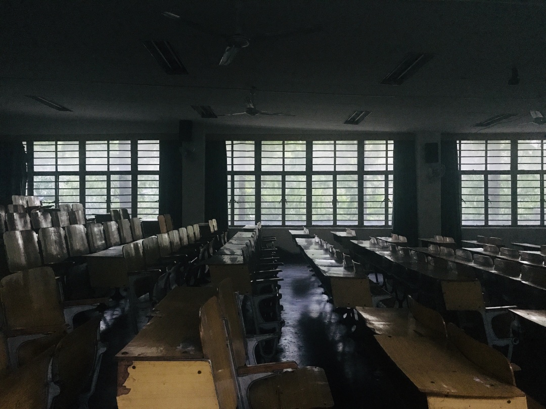 乱逛 中医药大学满墙的爬山虎，绿得很