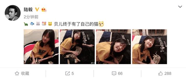 陆毅晒女儿甜美近照，贝儿收养豹纹宠物猫，开心到表情失控