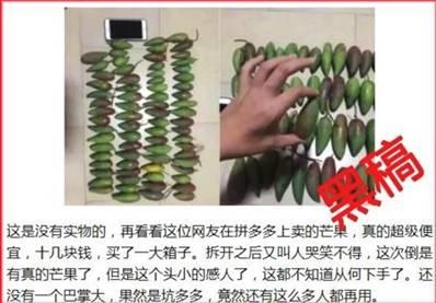 光屁股“乔丹” 这是拼多多买家秀？官方揪出真相