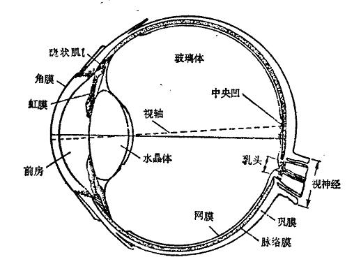 凤凰网