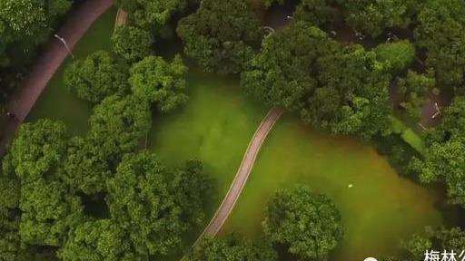 美爆了!福田区新城市规划曝光