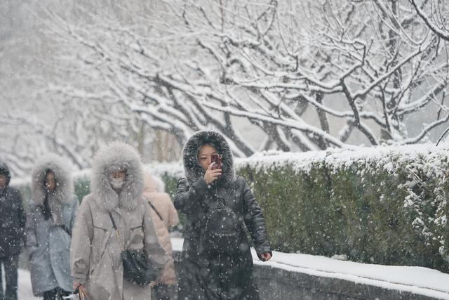 北京街头的共享单车(12月16日摄).12月16日,北京迎来降雪天气.