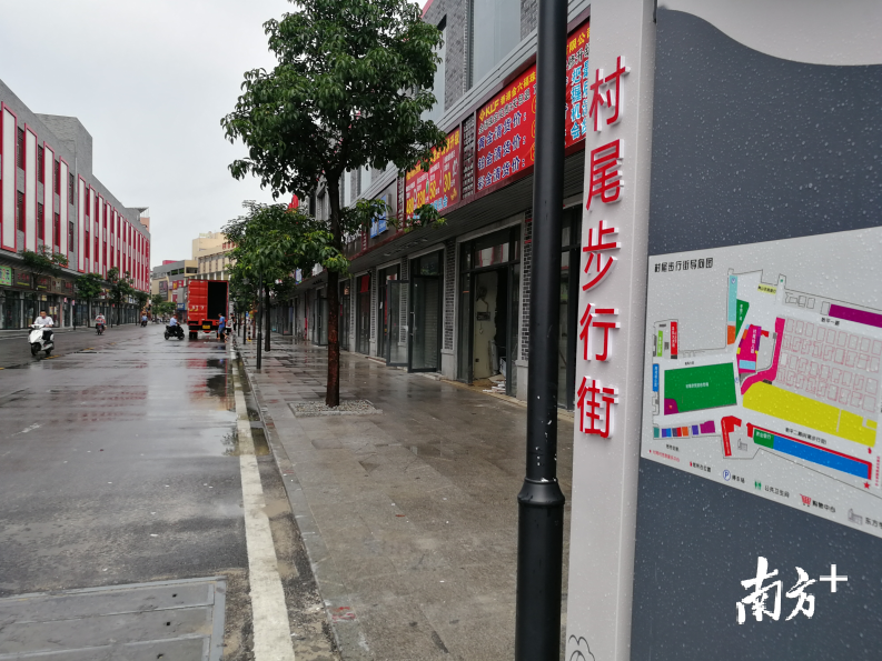 走读张槎村尾村找到乡村振兴的支点与节奏