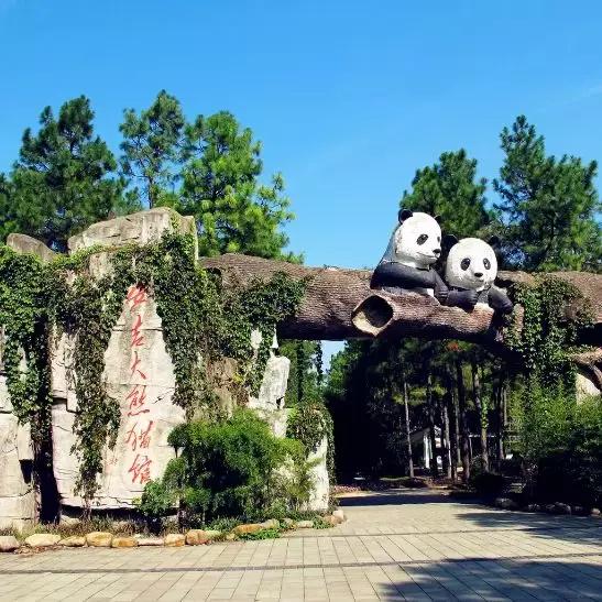 中秋将至 | 是时候把竹博园的行程定下来了