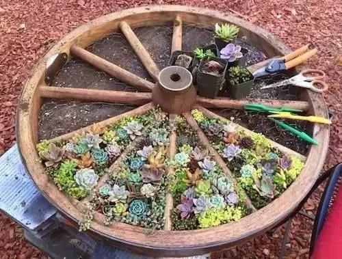 有一种小院设计,叫自己动手庭院DIY