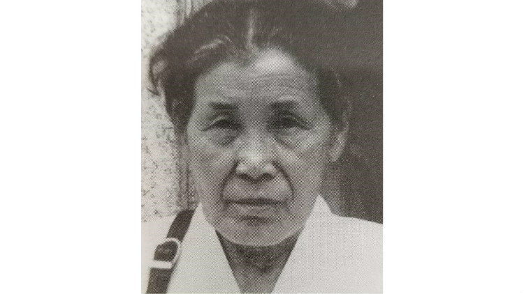 上野千鹤子:慰安妇为何大多数事后都选择了沉