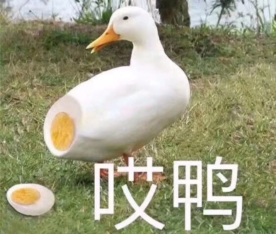 奶量太足了吧！这个插头竟然还是个高能移动电源