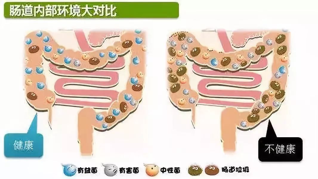 用“生姜敷肚脐”，坚持一段时间后，身体悄然发作这4个改变~