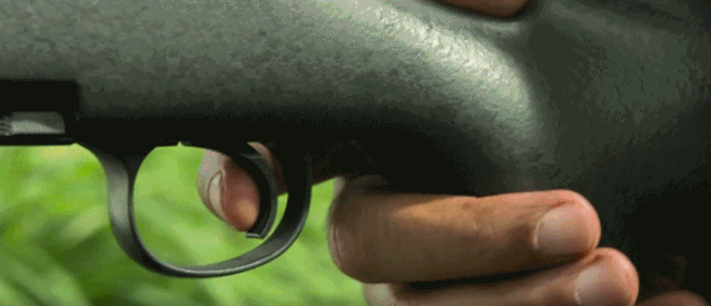 「Sir电影」我再次为李安的“不规矩”起立鼓掌