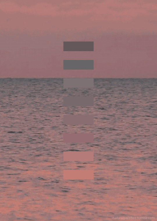 一位像素艺术家用39张动图,将大自然的唯美尽收眼底