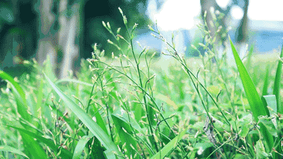 穿上立马凉5℃！不怕秋老虎，潮酷穿搭
