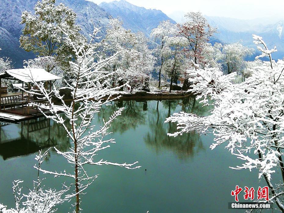 据了解,此次降雪的区域为什邡市红枫岭,钟鼎寺,神瀑沟等地,是什邡山区