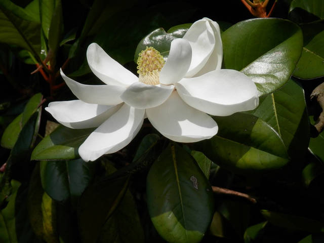 a8394f9beafb4d99adfadd6eb7075dd8.jpg a8394f9beafb4d99adfadd6eb7075dd8.jpg