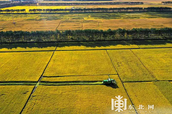 黑龙江北大荒秋收系列图片亮相北京国际摄影周