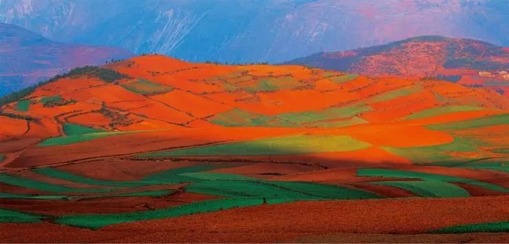 [新氧App]学她者生，似她者死，这个省的美人学都学不来