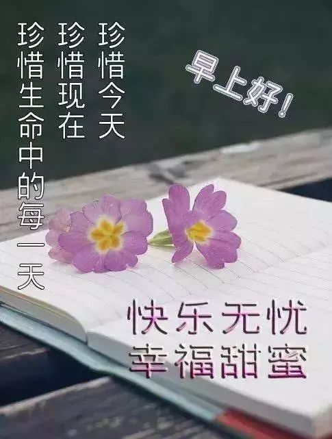 借一米阳光,温暖你心房,借一句吉言,让幸运与你相依相随,早安朋友