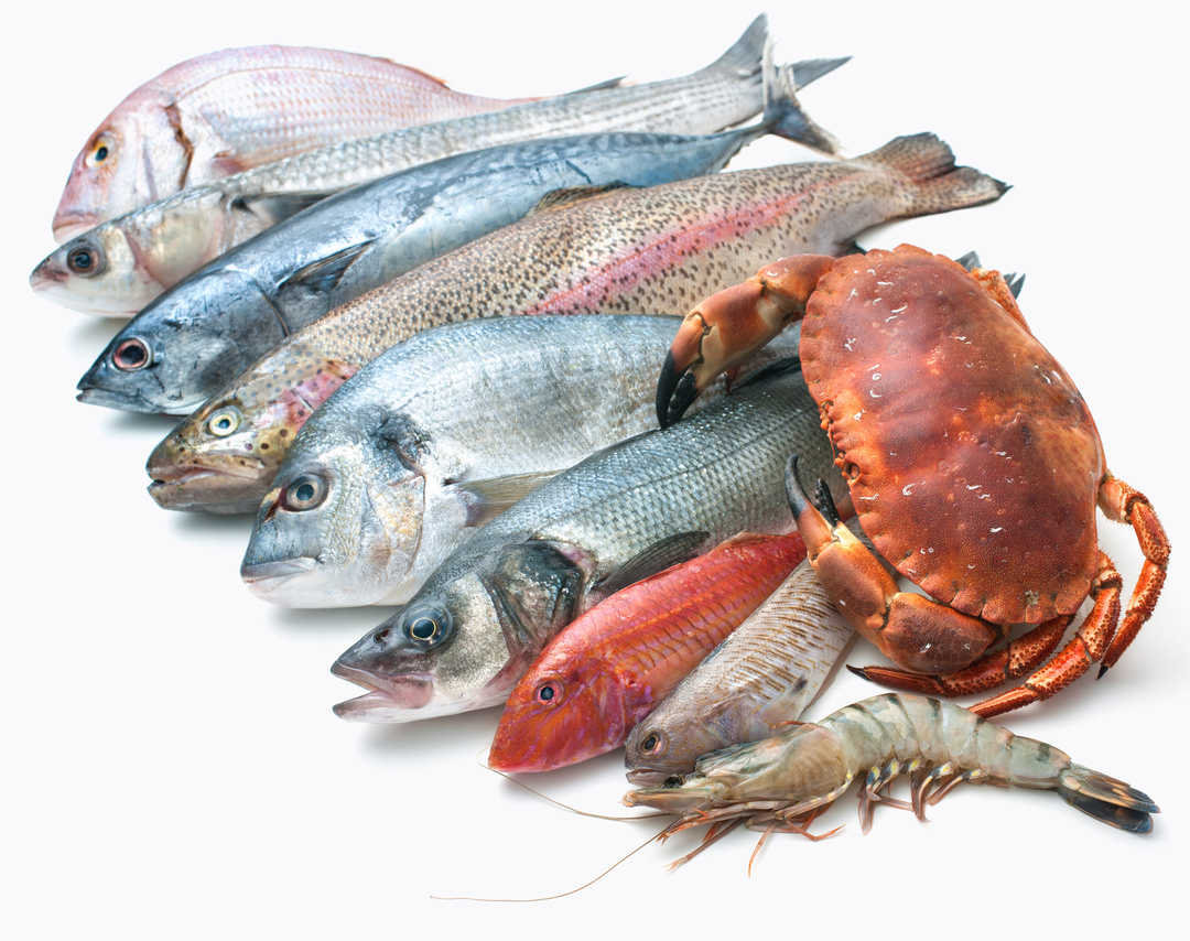 沿海人民是如何喂饱中国的？| 地球知识局