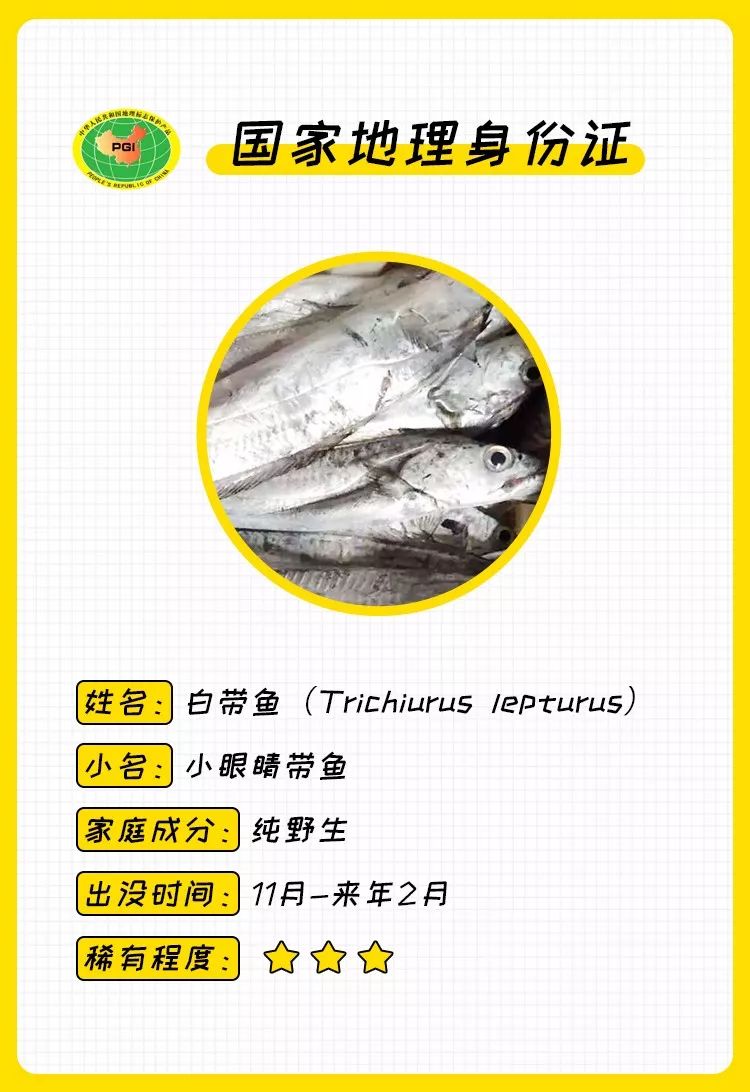 浙江哪里的海鲜最好吃？