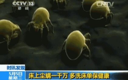 什么枕头？林志颖都爱不释手，我也要睡
