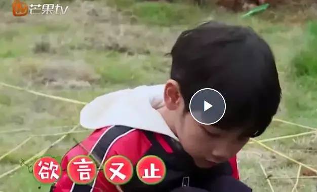 「更美扒扒扒」出轨石锤后还对孩子精神暴力？惹怒全国的ta悔上真人秀