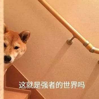 「半佛仙人」孙宇晨在价值观的坟头蹦迪