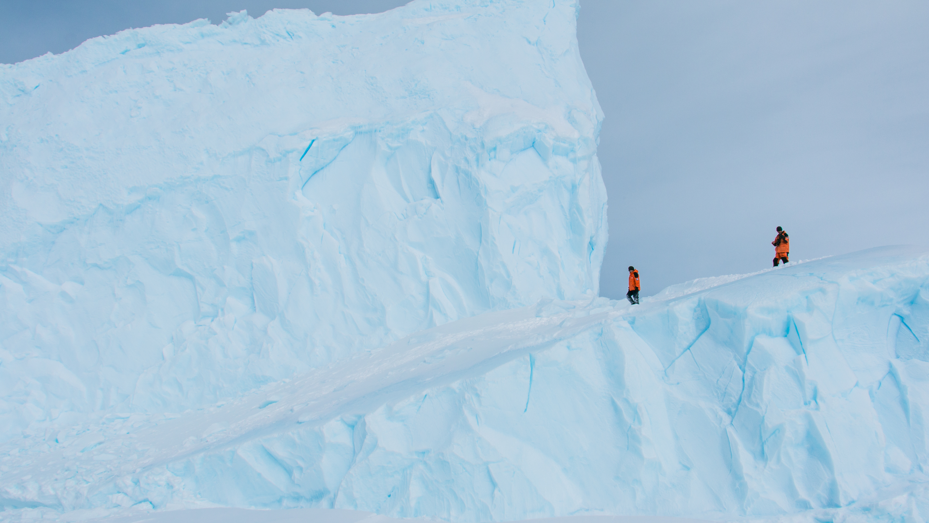 科学家在南极冰层之下发现雨林遗迹_凤凰网