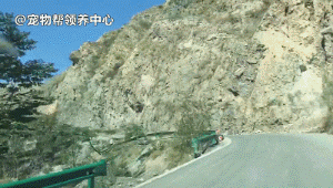 越接近目的地,山势越陡峭,很多围栏已经被滚落的石头砸坏,一个不慎