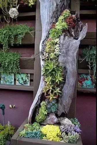有一种小院设计,叫自己动手庭院DIY