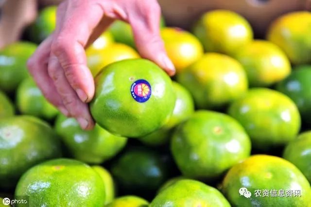 农业协作社的会计账务要做些什么科目