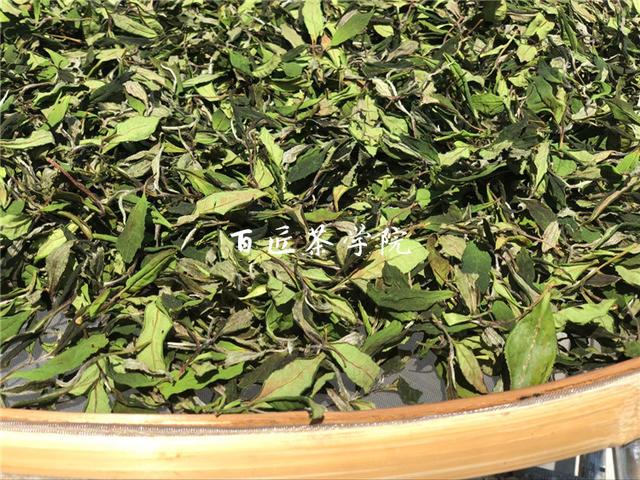一方水土养一方人,福鼎老茶人带您看尽福鼎白茶的前世今生