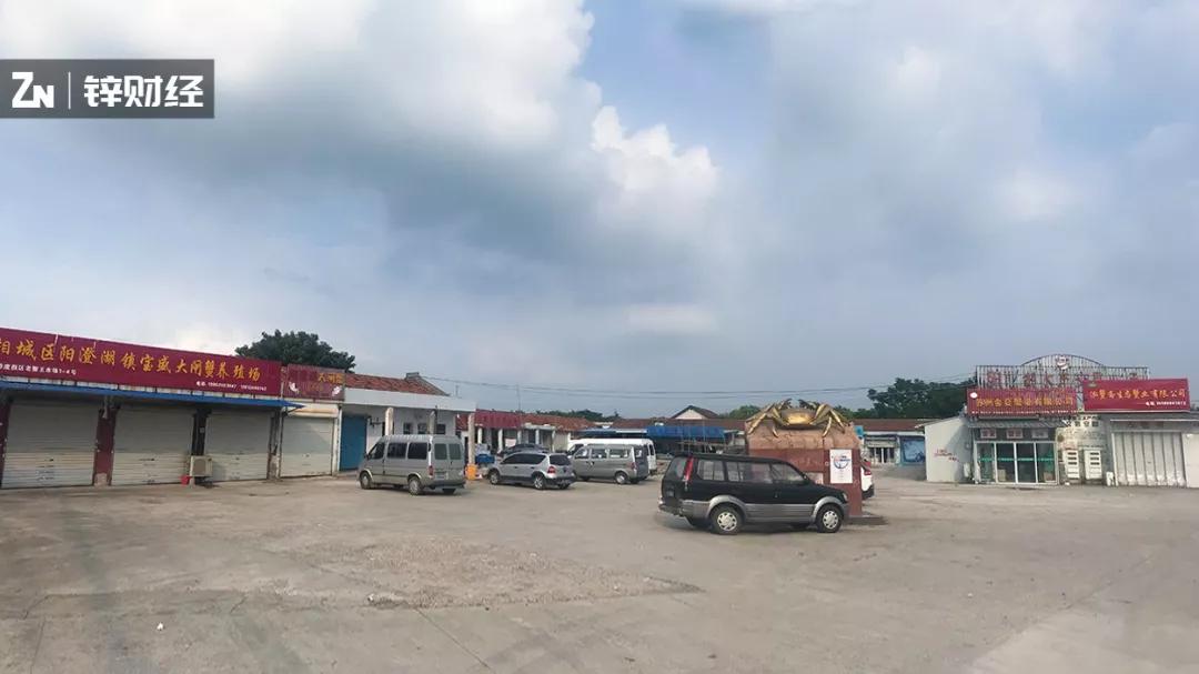 「钛媒体」假蟹盛行，真蟹锐减，阳澄湖的生死危局