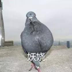 谁能想到这组沙雕图，其实是战争搞出来的黑科技
