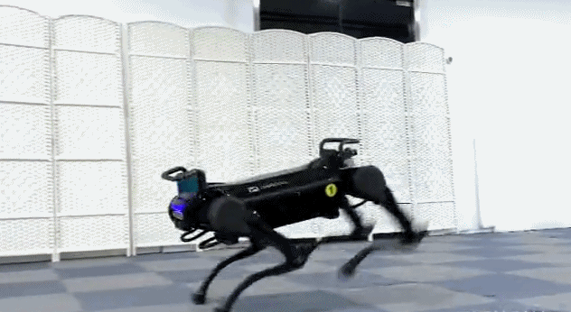 「澎湃新闻」浙大“绝影”机器狗上新了！会钻火圈、跳跃顶球