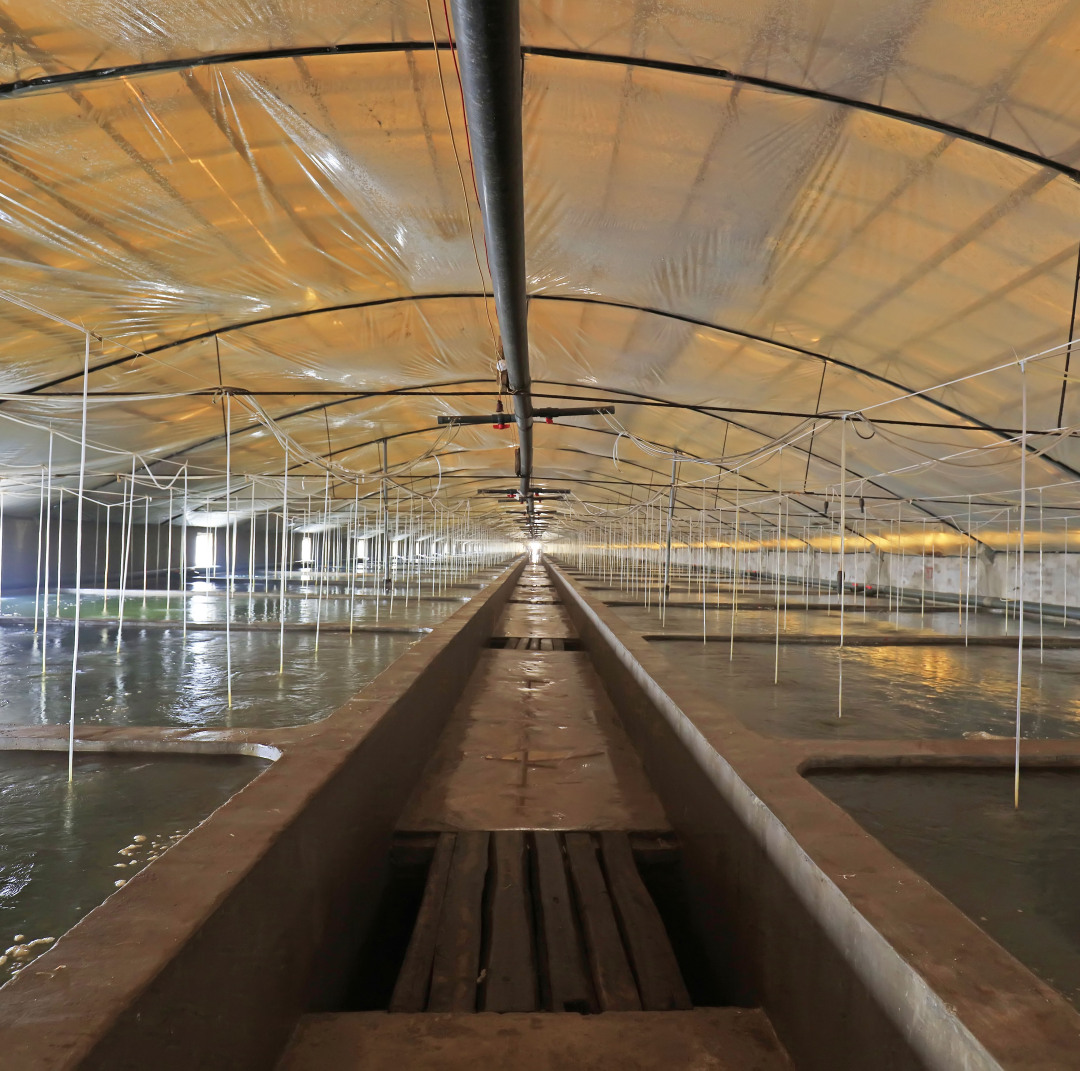 沿海人民是如何喂饱中国的？| 地球知识局