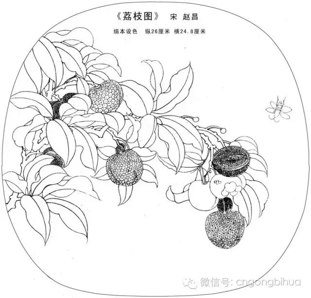 书画鉴赏丨宋画经典花鸟小品白描图稿