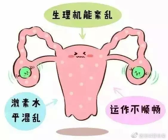 提高成功率的策略