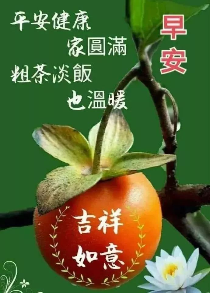 清晨阳光的早安问候语早上好图片,十月问候大家的早安