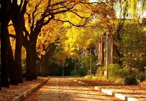 北京这8所大学承包了“宇宙中心”,竟然没有清华北大?