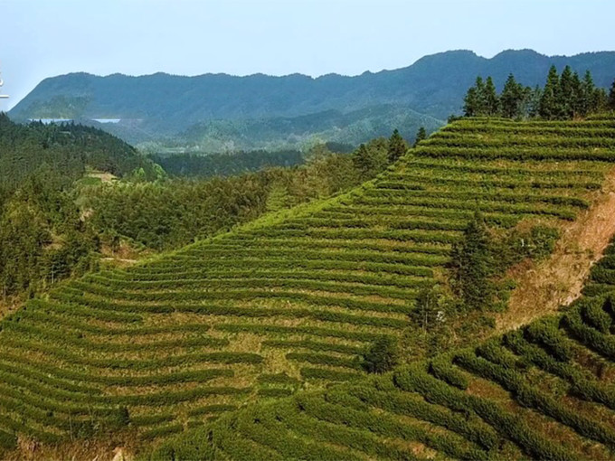 湖南首家茶汤温泉上线！长沙冬季自驾游推荐，你想去吗？